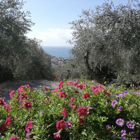 Casa Elena Daire Moneglia Dış mekan fotoğraf