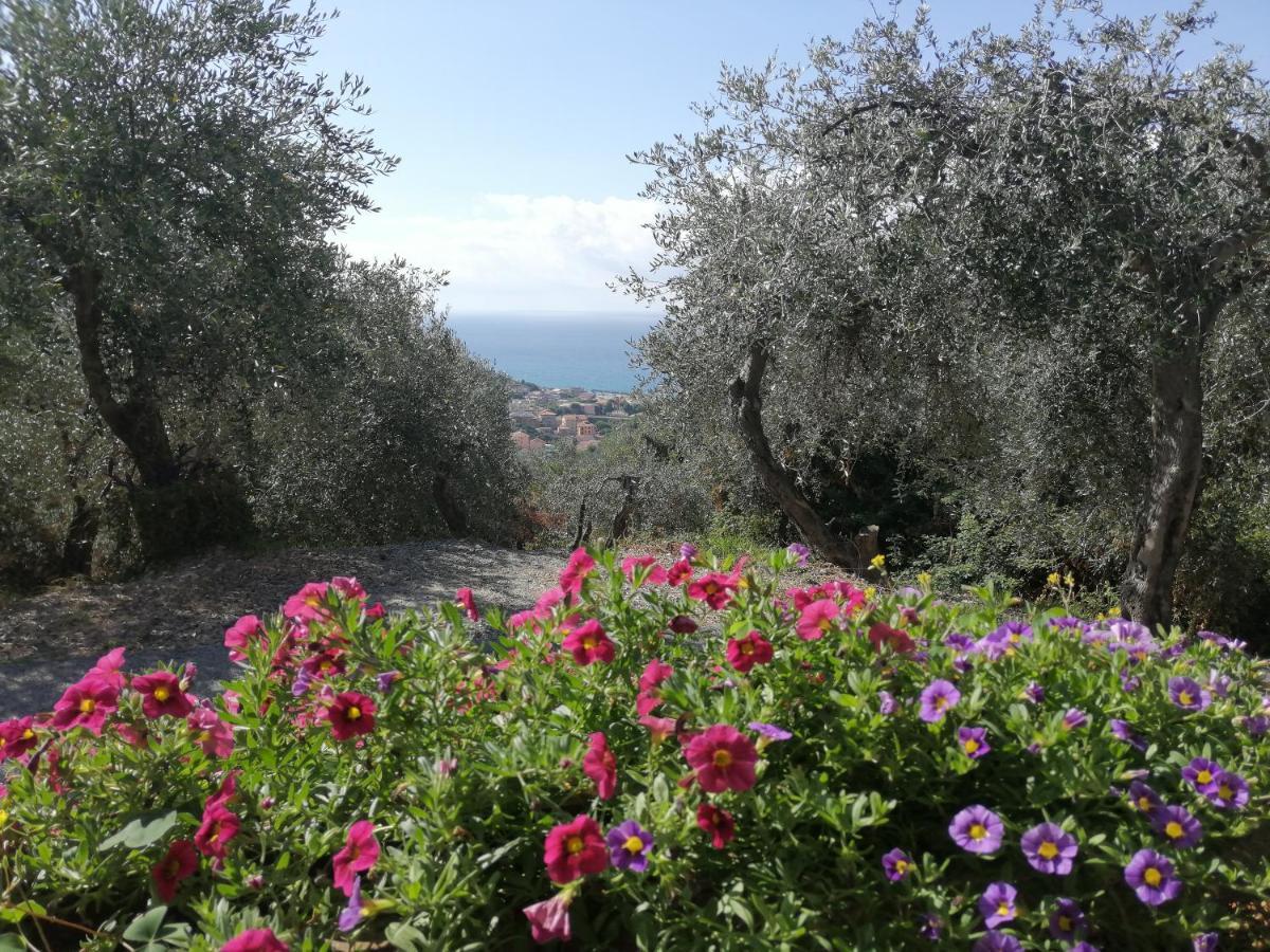 Casa Elena Daire Moneglia Dış mekan fotoğraf